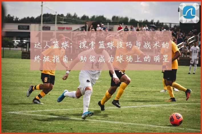 达人篮球：探索篮球技巧与战术的终极指南，助你成为球场上的明星