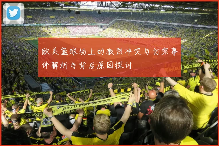 欧美篮球场上的激烈冲突与打架事件解析与背后原因探讨