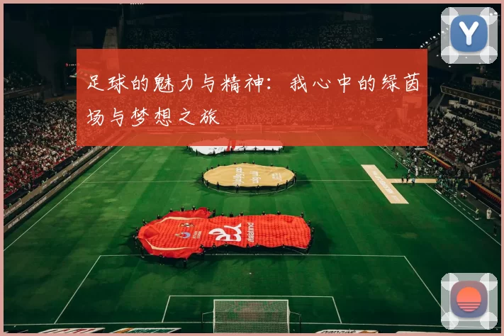 足球的魅力与精神：我心中的绿茵场与梦想之旅