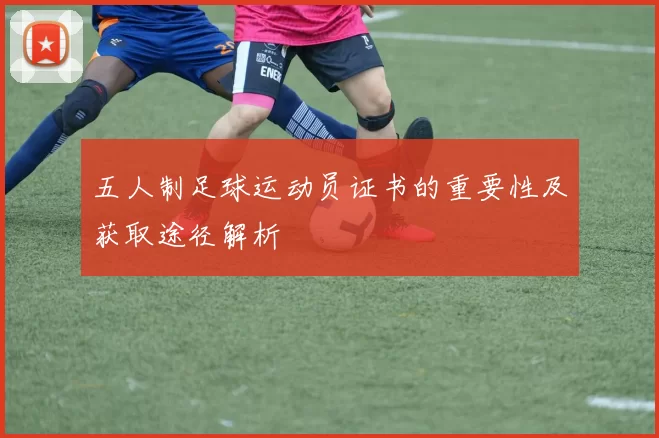 五人制足球运动员证书的重要性及获取途径解析