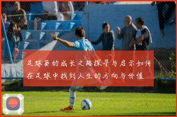 足球葵的成长之路探寻与启示如何在足球中找到人生的方向与价值