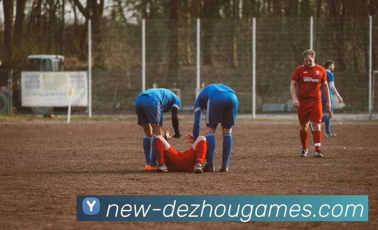 多媒体互动体验